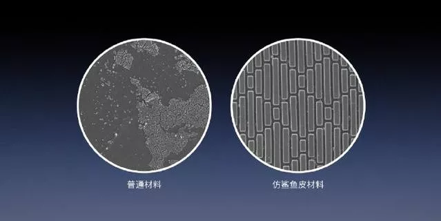 1583571081411081730.png
